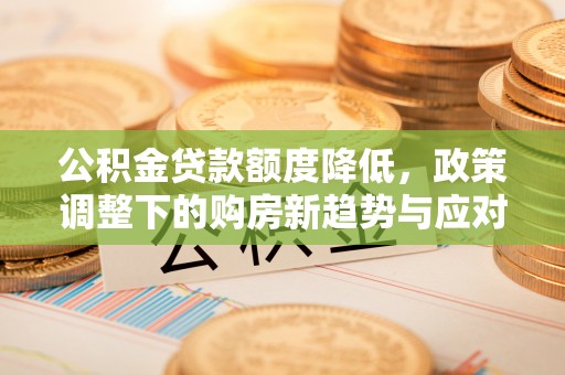 浦江公积金贷款额度降低，政策调整下的购房新趋势与应对策略