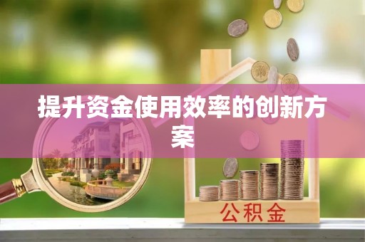 浦江提升资金使用效率的创新方案