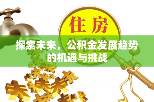 浦江探索未来，公积金发展趋势的机遇与挑战