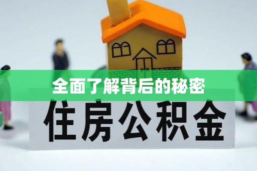 浦江全面了解背后的秘密