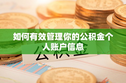 浦江如何有效管理你的公积金个人账户信息