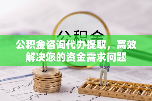 浦江公积金咨询代办提取，高效解决您的资金需求问题