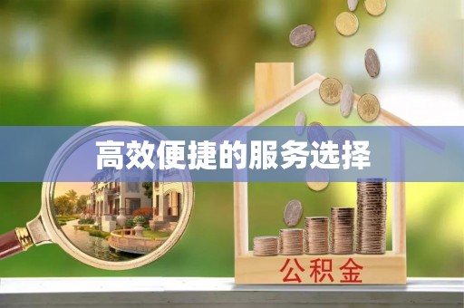 浦江高效便捷的服务选择